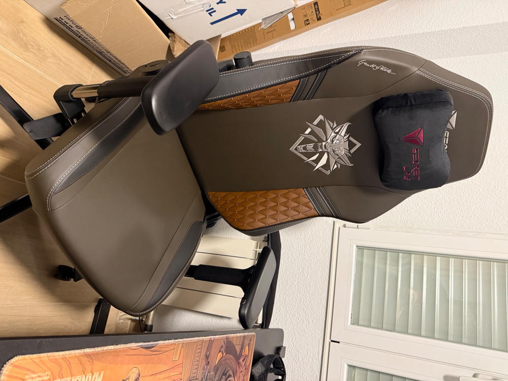 Secretlab TITAN Evo - XL - NEO Hybrid Leatherette (0108) - Customer Photo From Carlos Costell