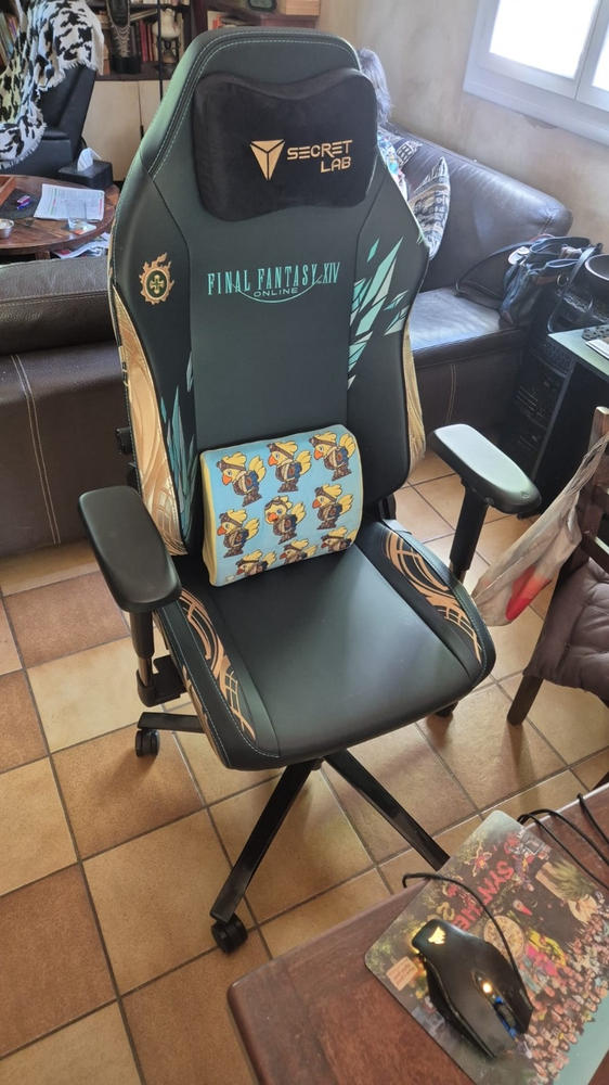 Secretlab TITAN Evo - XL - NEO Hybrid Leatherette (0108) - Customer Photo From Thomas Frers