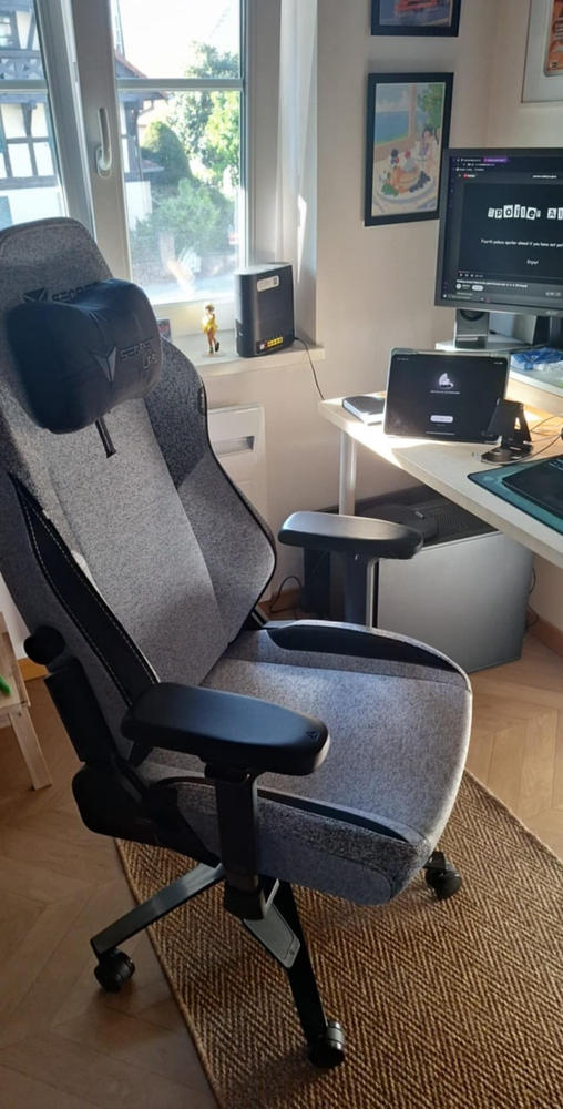 Secretlab TITAN Evo - Small - SoftWeave® Plus Fabric (0106) - Customer Photo From Lucie Grondin