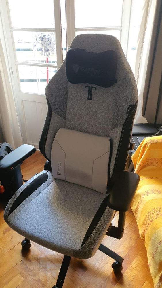 Secretlab TITAN Evo - Regular - SoftWeave® Plus Fabric (0107) - Customer Photo From Roberto Capruzzi