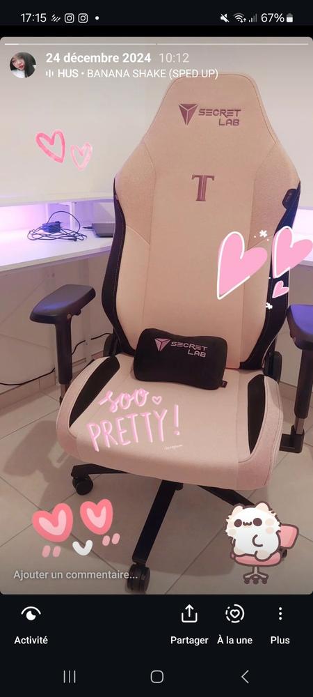 Secretlab TITAN Evo - Regular - SoftWeave™ Plus Fabric (0107) - Customer Photo From Kelly Nguyen