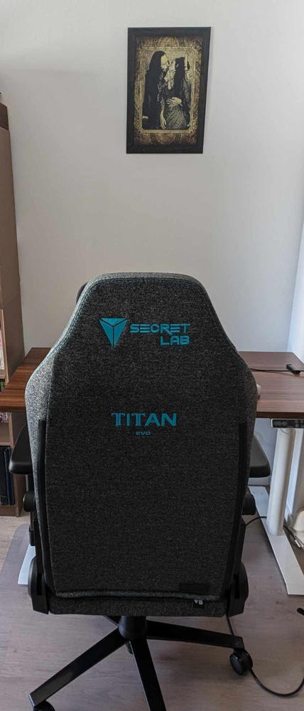 Secretlab TITAN Evo - Regular - SoftWeave® Plus Fabric (0107) - Customer Photo From Alexander Kis-Cepegi