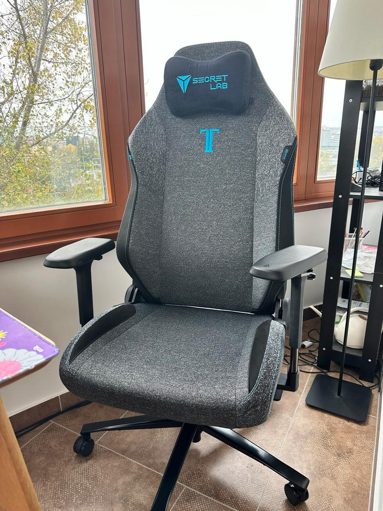 Secretlab TITAN Evo - XL - SoftWeave™ Plus Fabric (0108) - Customer Photo From Анастасия Кулинчик