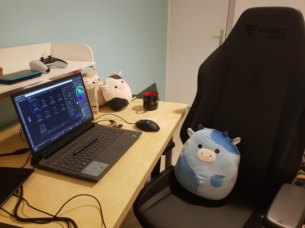 Secretlab TITAN Evo Lite - Regular - PRIME™ 2.0 Leatherette - Customer Photo From Elise Maitre