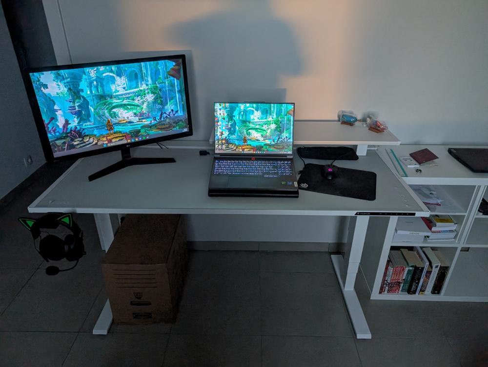 Secretlab Magnus Pro 1.5m Motorised Leg Columns (Type-F)- White - Box 2 - Customer Photo From Thomas Weygaerts