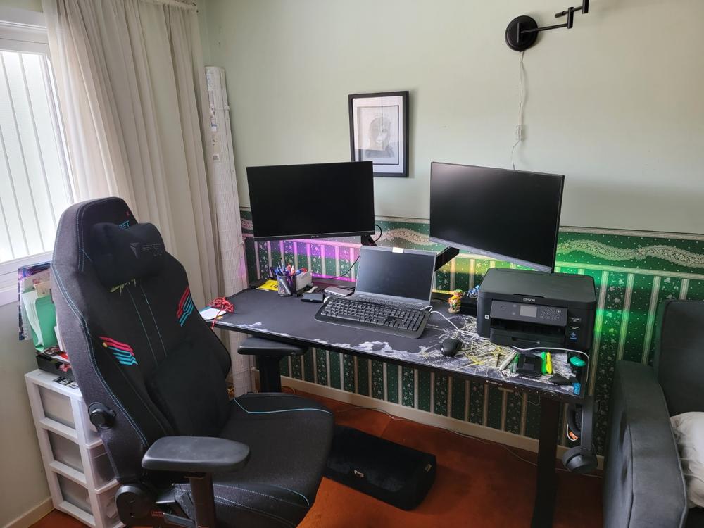 Secretlab MAGNUS Pro - Box 2 - Motorised Leg Columns (Plug Type B) - Customer Photo From Sean Grainger