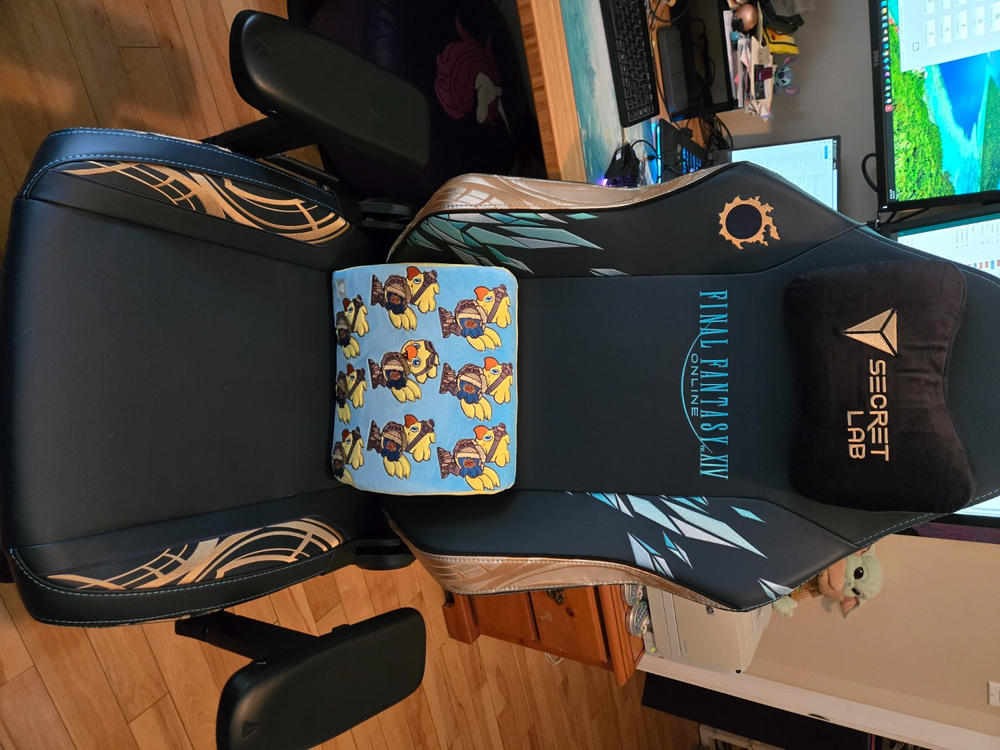 Secretlab TITAN Evo - Regular - NEO Hybrid Leatherette (0107) - Customer Photo From Michele Theriault