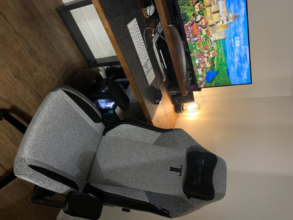 Secretlab TITAN Evo - Regular - SoftWeave™ Plus Fabric (0107) - Customer Photo From Lisa Boisvert