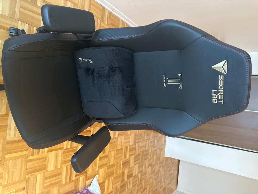 Secretlab TITAN Evo Lite - Regular - PRIME™ 2.0 Leatherette - Customer Photo From Bhawna Punyani