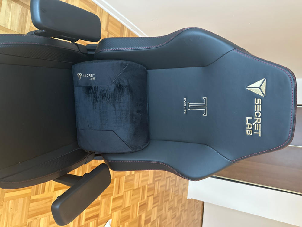 Secretlab TITAN Evo Lite - Regular - PRIME™ 2.0 Leatherette - Customer Photo From Bhawna Punyani