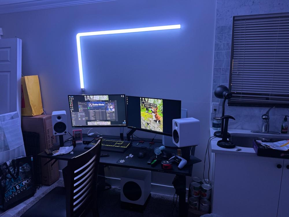 Secretlab Magnus Pro 1.5m Motorised Leg Columns (Type-B) - Box 2 - Customer Photo From Wesley Quan