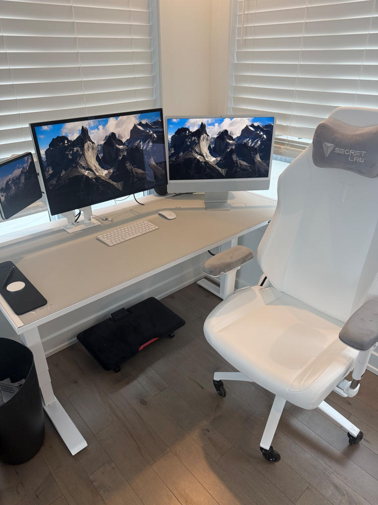 Secretlab Magnus Pro 1.5m Motorised Leg Columns (Type-B)- White - Box 2 - Customer Photo From Martin Lariviere