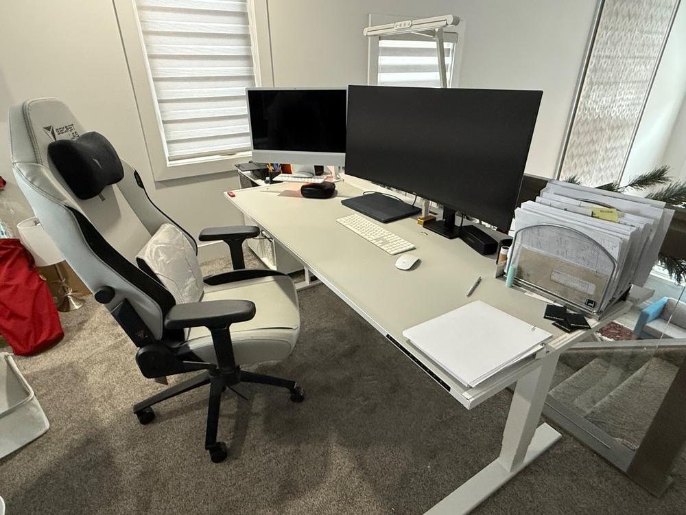 Secretlab Magnus Pro XL 1.7m Motorised Leg Columns (Type-B) - White - Box 2 - Customer Photo From Dale Bruce