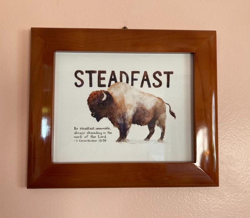 Steadfast - 1 Corinthians 15:58 - Customer Photo From Terrie Mayka Caton