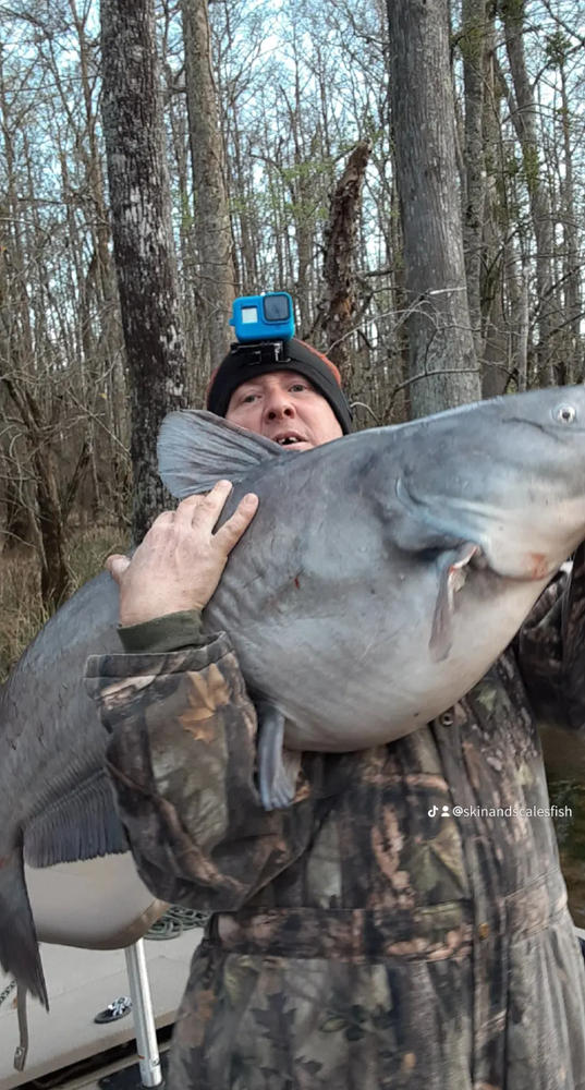 Sumo Sweeper Hooks, Circle, Khale Style, Offset - Customer Photo From Ronald Willoughby