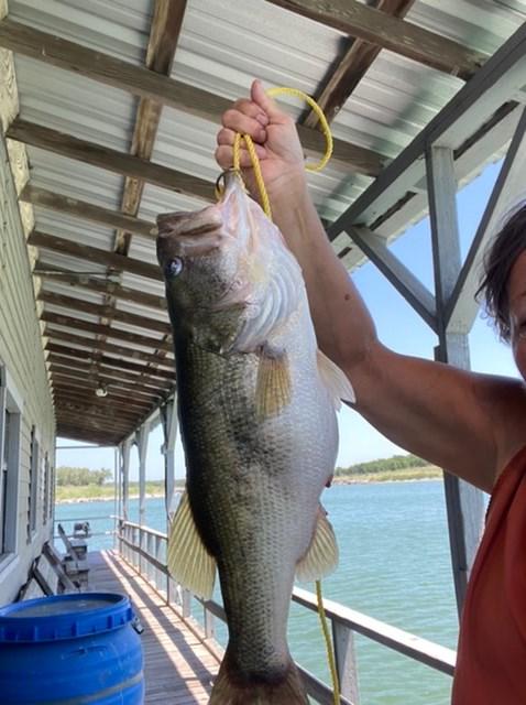 Sumo Sweeper Hooks, Circle, Khale Style, Offset - Customer Photo From Tibby Pritchett