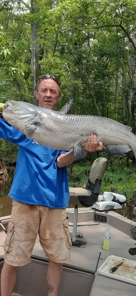 Sumo Sweeper Hooks, Circle, Khale Style, Offset - Customer Photo From Ronald Willoughby