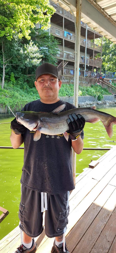 Complete Trophy Catfishing Starter Kit - 55 Pieces for Catching Your First Trophy Catfish - Customer Photo From Michael Webster