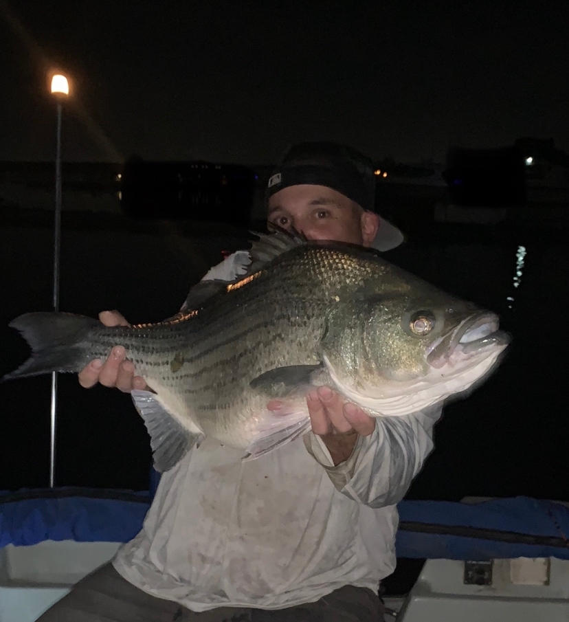 Heavyweight Circle Hooks, Octopus, Offset, Sharp for Trophy Catfish - Customer Photo From JAMES APODACA