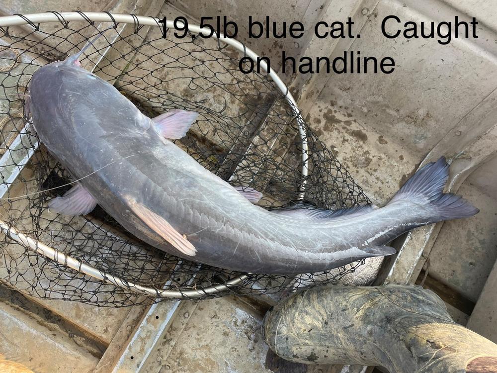  Catfishing Sweeper Hooks - 8/0, 25-Pack, Offset