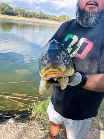 Original Chop Stick Catfishing Rod - Customer Photo From Richard RODRIQUEZ