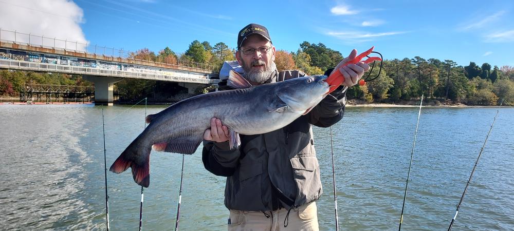 Pre-Tied Trophy Catfishing Leaders - Customer Photo From Harold Stiles 