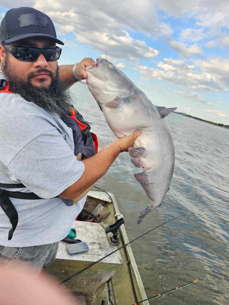 Hangry Hooks™, Premium Circle Hooks for Trophy Catfish - Customer Photo From Oscar A.