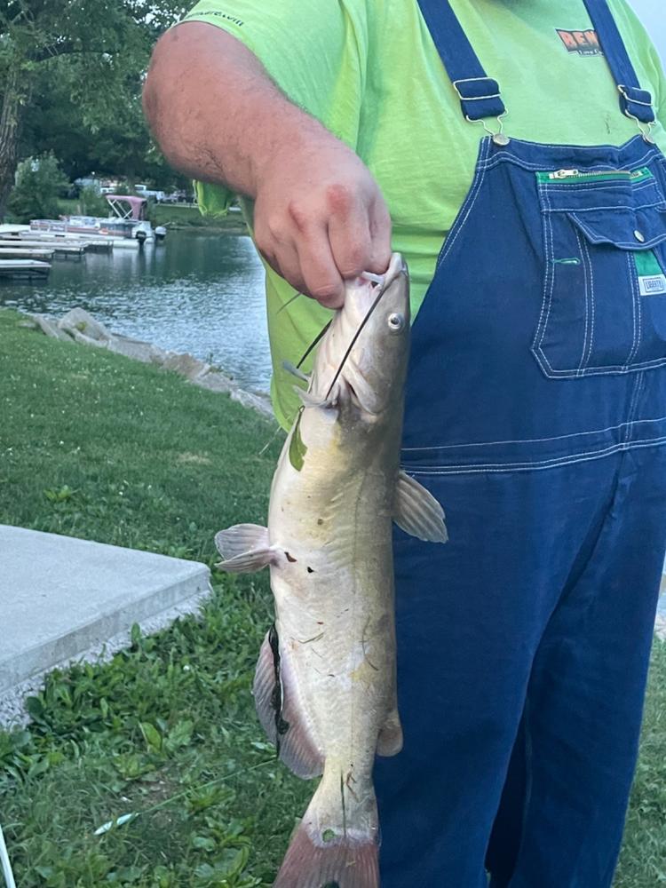 Hangry Hooks™, Premium Circle Hooks for Trophy Catfish - Customer Photo From Devon Seemann
