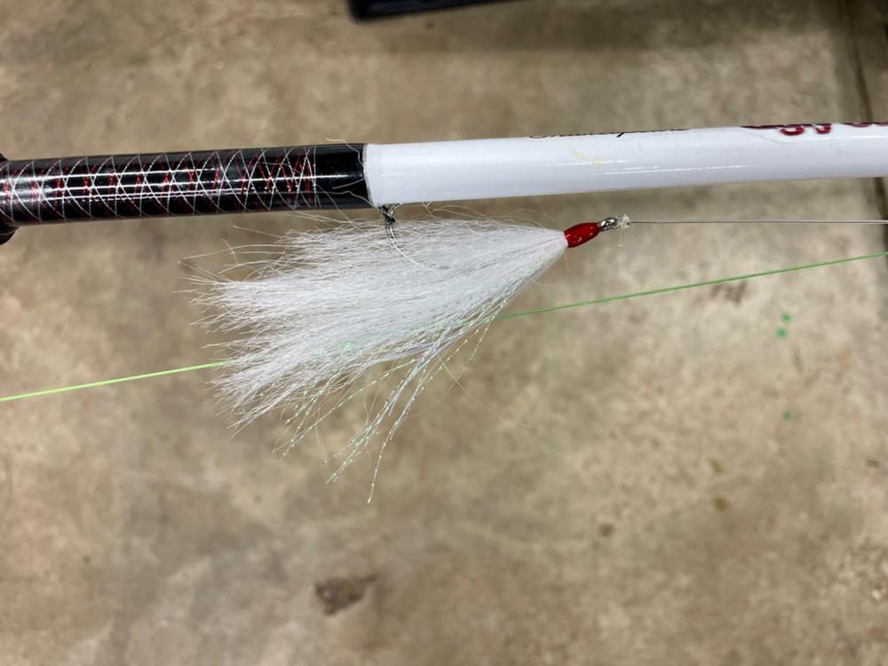 Bait Stalkers: Stinger Flies to Catch Extra Catfish, 5-Pack