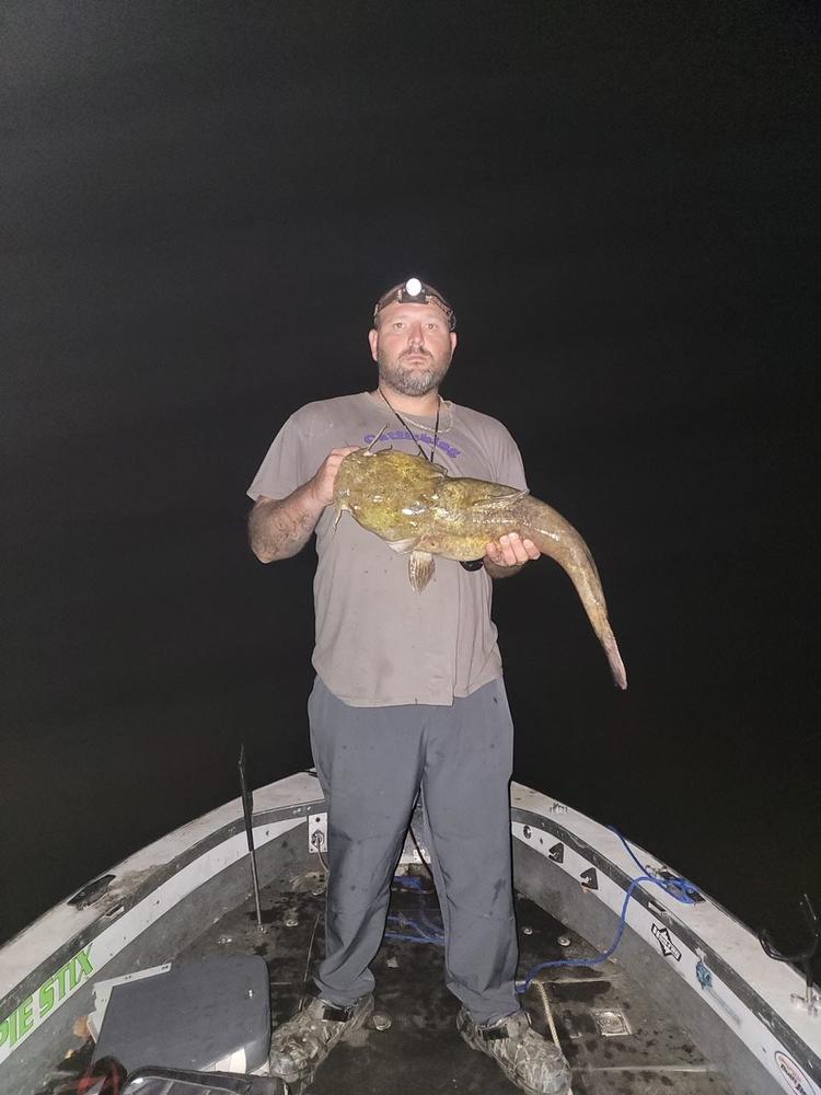 Bait Stalkers: Stinger Flies to Catch Extra Catfish, 5-Pack - Customer Photo From Derek Crawford 