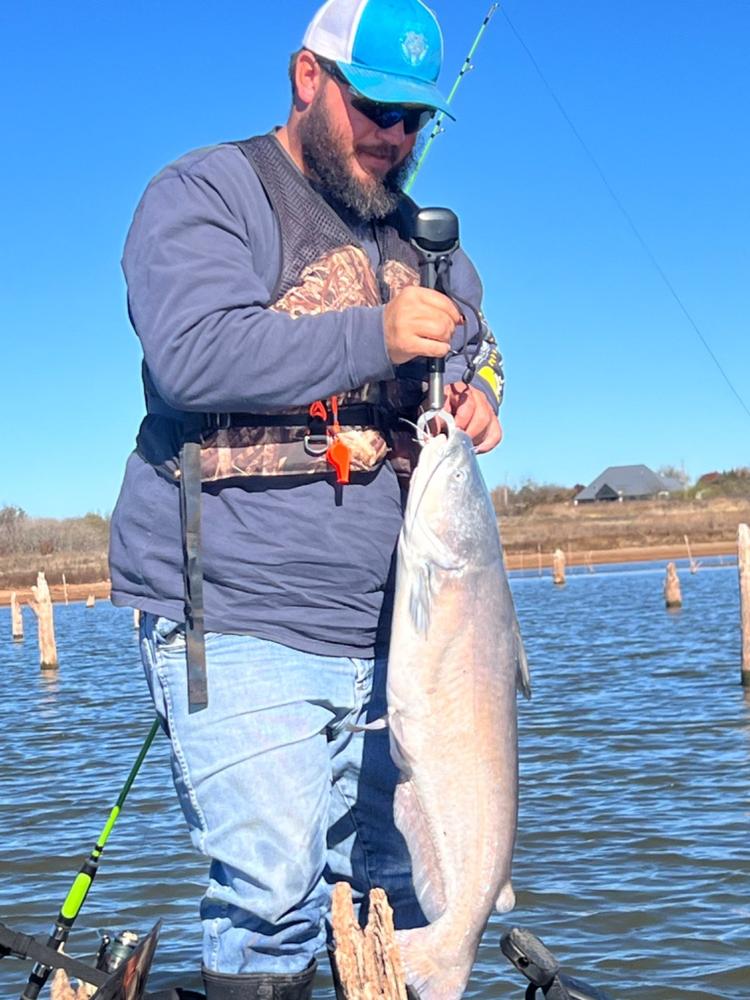 Bait Stalkers: Stinger Flies to Catch Extra Catfish, 5-Pack - Customer Photo From Joeann Porterfield