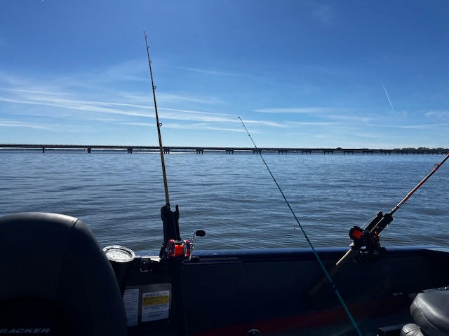 Rattle Snake™ Dragging Weights, Rattling Sinkers for Easily Drifting and Trolling Through Snags, Without Hangups - Customer Photo From Roger Barker