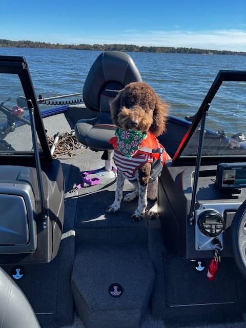 Rattle Snake™ Dragging Weights, Rattling Sinkers for Easily Drifting and Trolling Through Snags, Without Hangups - Customer Photo From Roger Barker