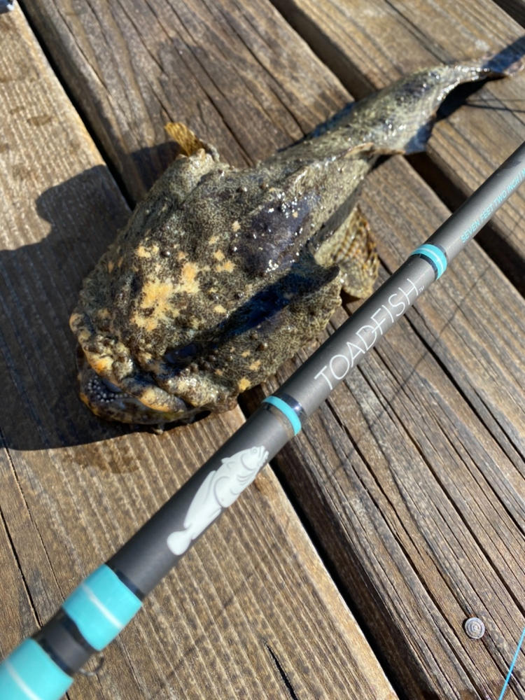 toadfish rods for sale
