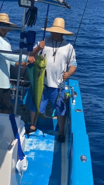 toadfish rods for sale