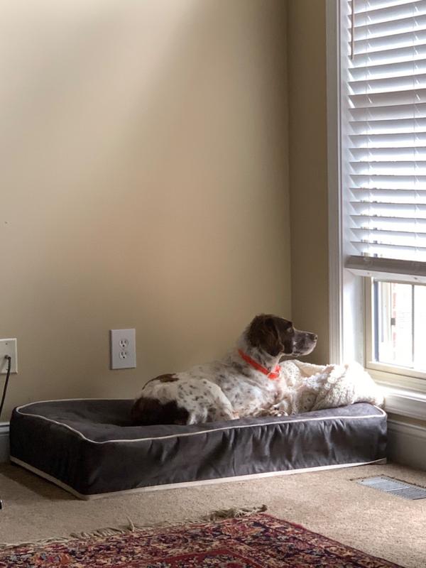 Ultra Plush Microsuede Slip Cover Kuranda Dog Beds