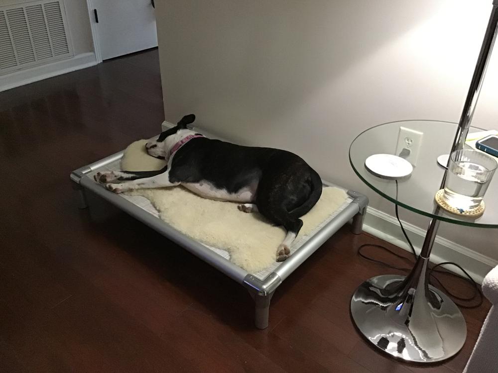Purchase Kuranda Dog Beds Up To 76 Off, Kuranda Bunk Bed