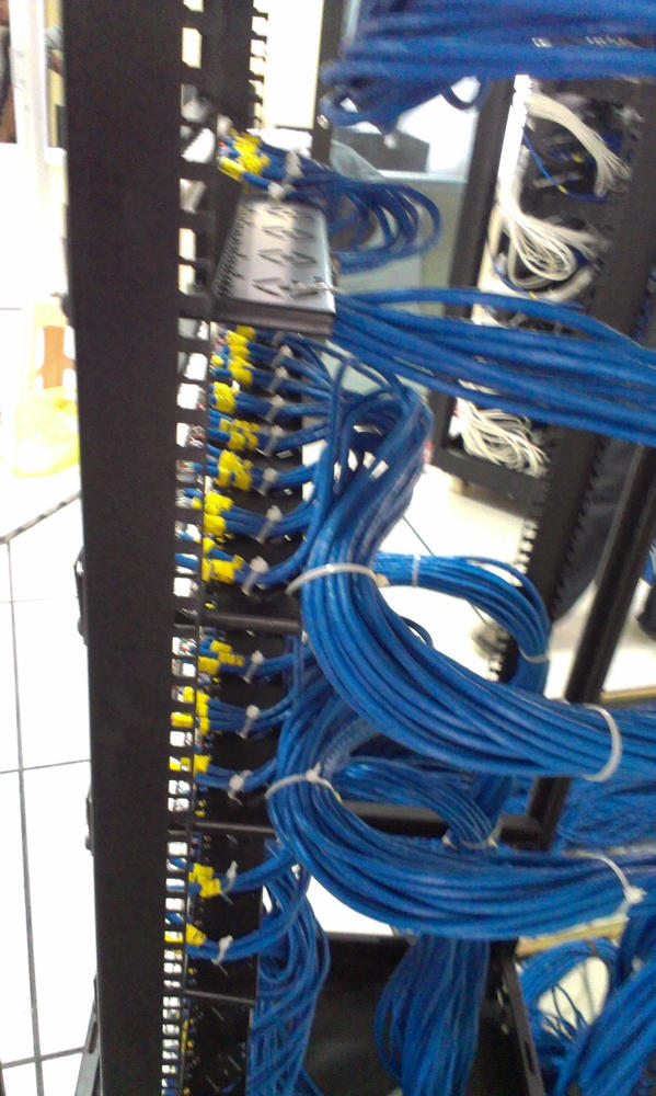 Cat6 Riser Ethernet Cable｜Unshielded - Customer Photo From Anonymous