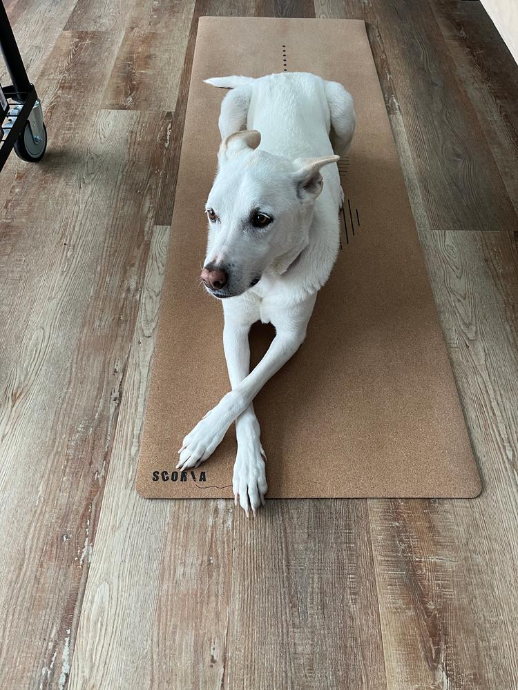 Revolve Cork Yoga Mat | 4.5MM - Customer Photo From Maggie