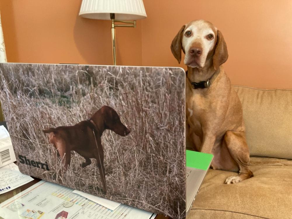 HP 17-cn000Xds Laptop (2021) Custom Wraps & Skins - Customer Photo From Sherri Mullen