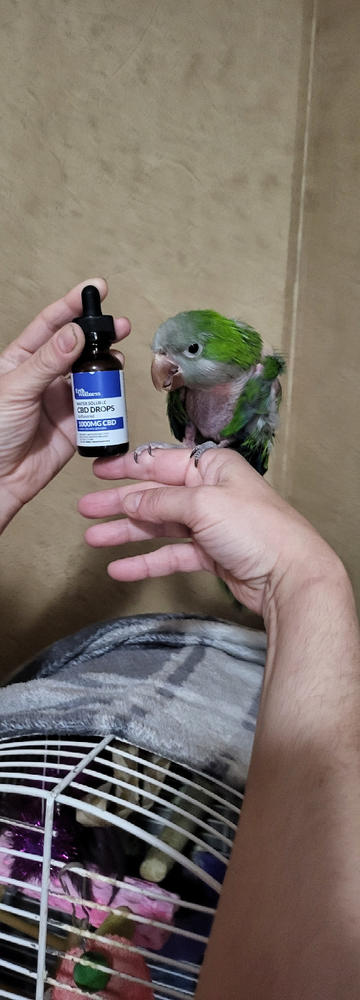 Water Soluble CBD Tincture - Unflavored - THC Free - Customer Photo From Dee Ann Bullock