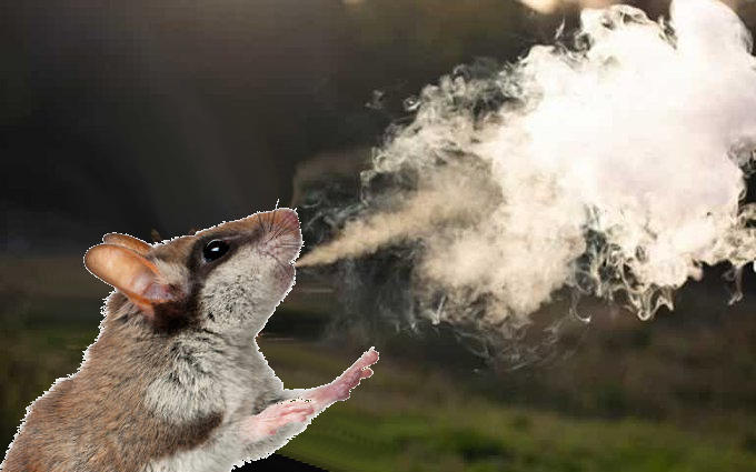 THC Free STRESS Gummies - Vegan - Juicy Orange - 50mg (Sample Size) - Customer Photo From Anonymous