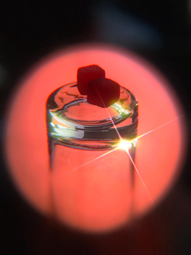 THC Free STRESS Gummies - Vegan - Juicy Orange - 50mg (Sample Size) - Customer Photo From Mandell Williams