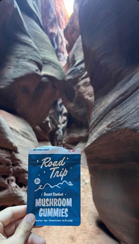 Desert Stardust Magic Mushroom Gummies - Pineapple - Customer Photo From Anonymous