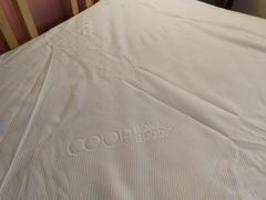 Coop Home Goods Ultra Luxe Waterproof Mattress Protector Review