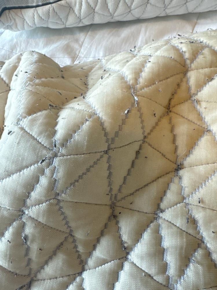 The Cool Side™ Pillow Cover - Customer Photo From Joe