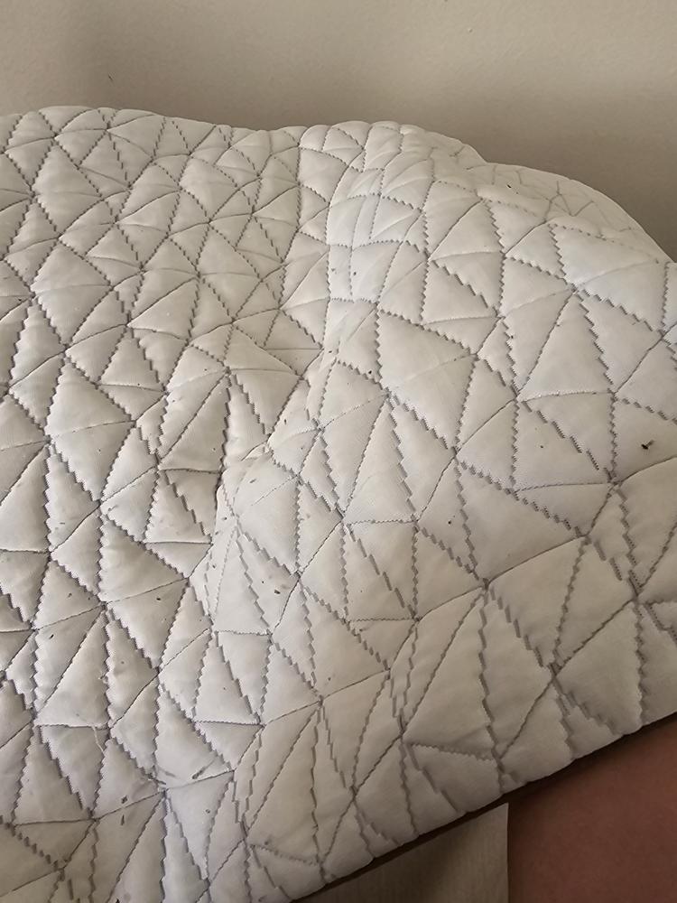 The Cool Side Pillow Cover - Customer Photo From Andrea
