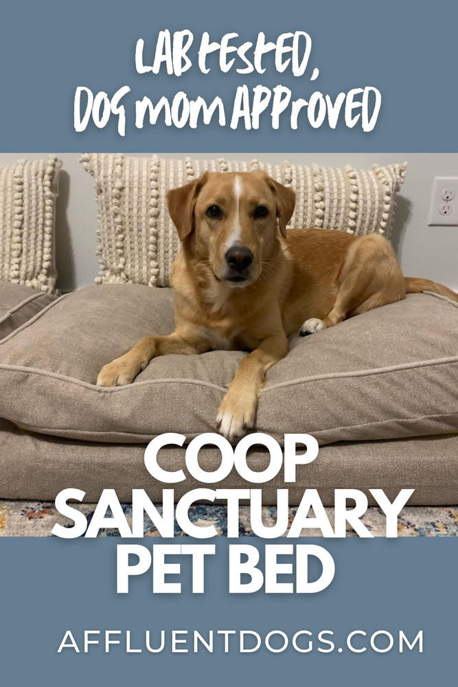 Sanctuary Pet Bed - Customer Photo From William McCarthy