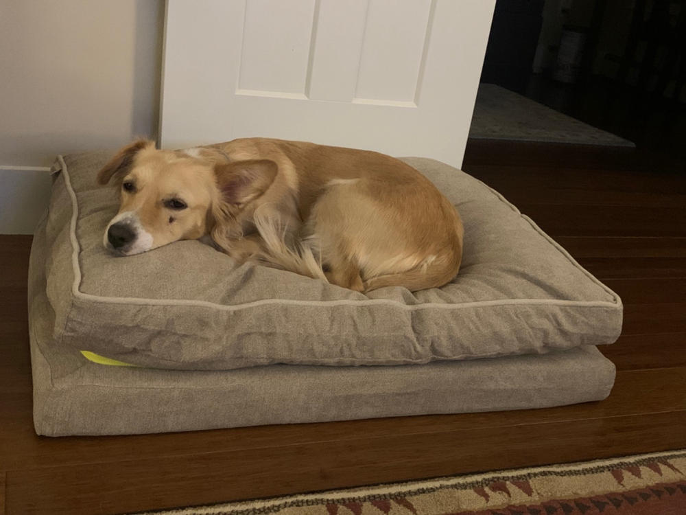 Sanctuary Pet Bed - Customer Photo From Hope Sterling 