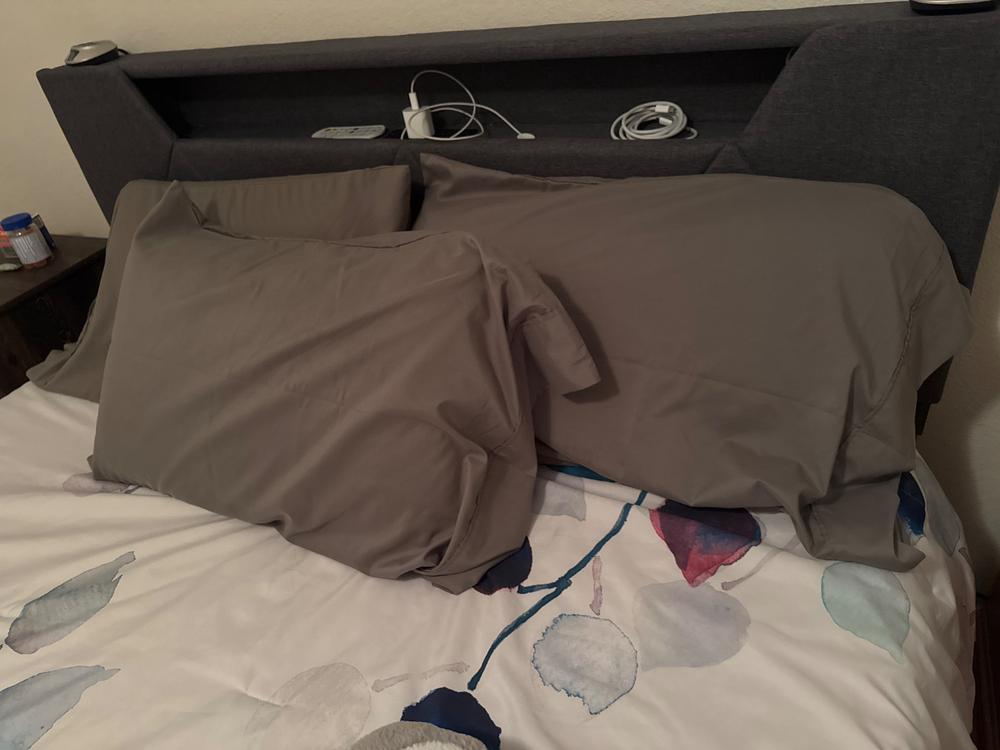 Comphy COOP コンフィーソフトスパ ベッドカバー （クイーン) Amazon